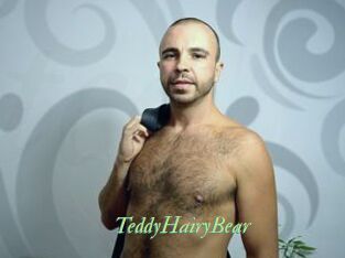 TeddyHairyBear Tel Coquin