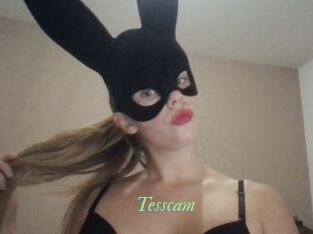 Tesscam