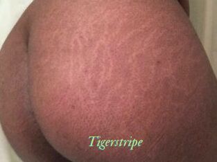 Tigerstripe