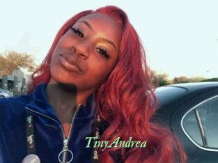 TinyAndrea
