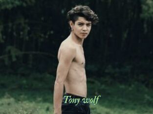 Tony_wolf