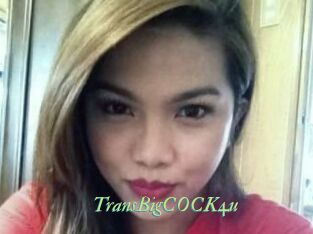 TransBigCOCK4u