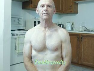Tumbleweed13