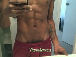 Twinkcut22