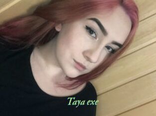 Taya_exe