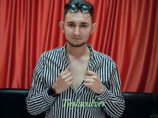 Taylorsilver