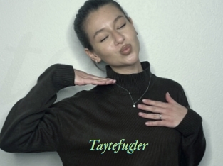 Taytefugler