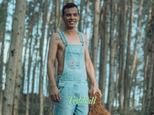 Teddhill