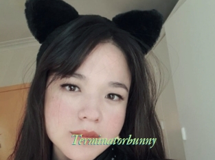 Terminatorbunny