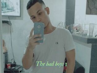 The_bad_boys_1