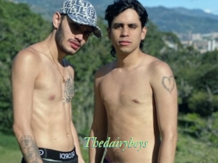 Thedairyboys