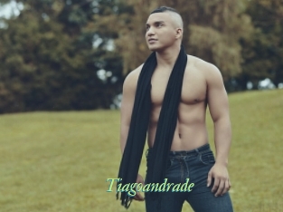 tiagoandrade Tel Coquin