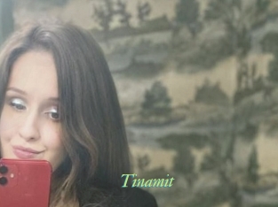 Tinamit