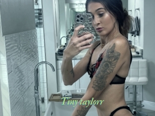 Tiny_taylorr