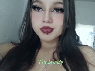 Tinybrandy
