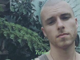 Tofu_boy