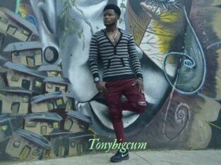 Tonybigcum