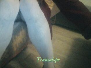 Transalope