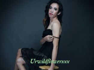 Urwildflowerxxx