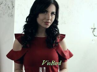 VioBird
