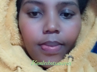 Vamleshotsauce01