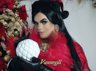 vannegill Tel Coquin