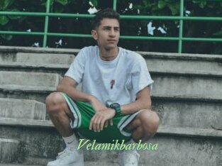 Velamikbarbosa
