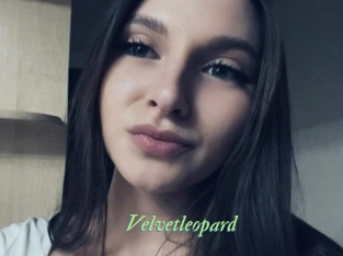 Velvetleopard