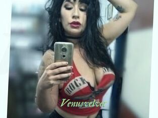 Venusvelvet