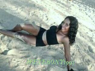 WETEBONY1993