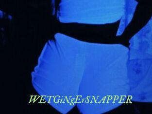 WETGiNgErSNAPPER