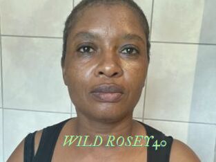 WILD_ROSEY40
