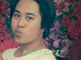 WILD_VELVET
