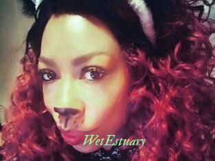 WetEstuary