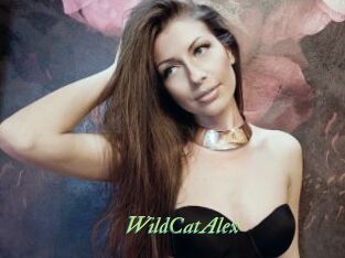 WildCatAlex