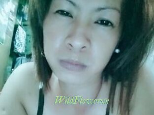 WildFlowerxx