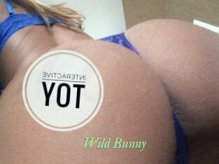 Wild_Bunny_
