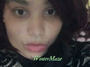 Winter_Maze