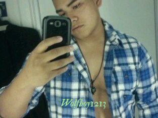 Wolfboy1213