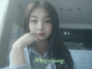 Wangzcxiang