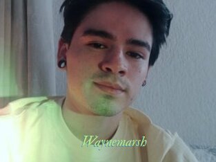 Waynemarsh