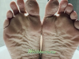 Welshbustyava