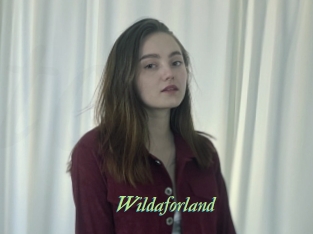 wildaforland Tel Coquin