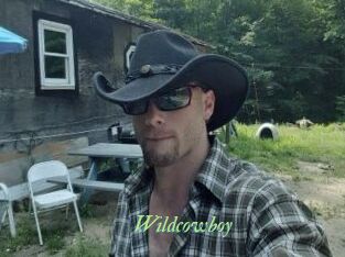 Wildcowboy
