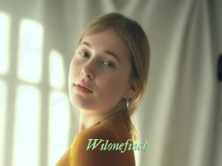 Wilonefinch