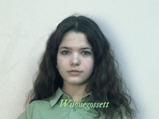Wilonegossett