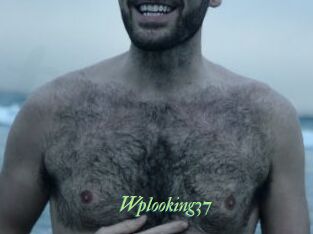 Wplooking37