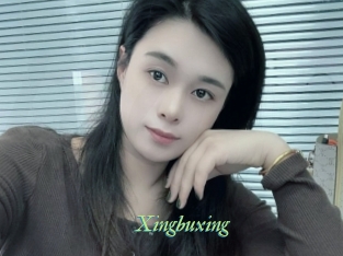 Xingbuxing