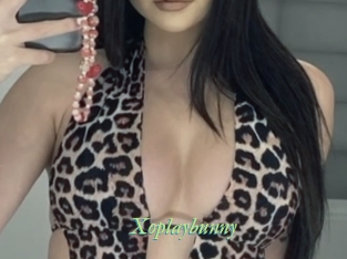 Xoplaybunny