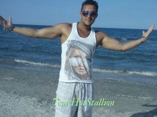 YourHotStallion